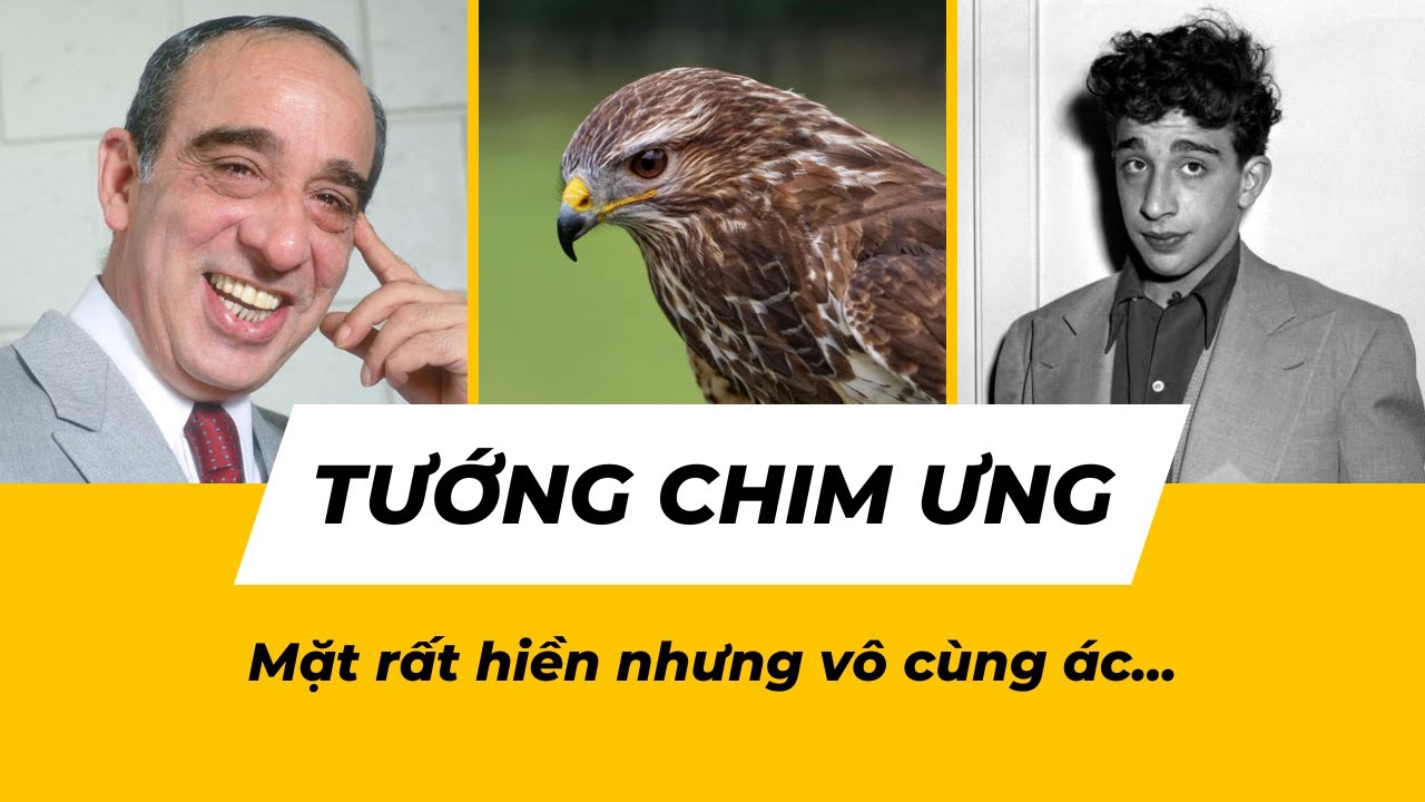 ĐẶC BIỆT: TƯỚNG CHIM ƯNG | Mặt hiền nhưng tâm ác