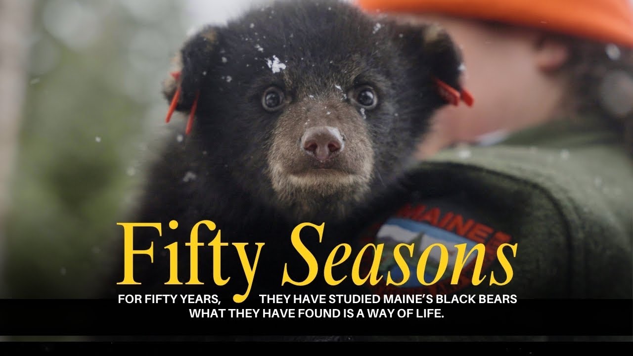 Fifty Seasons