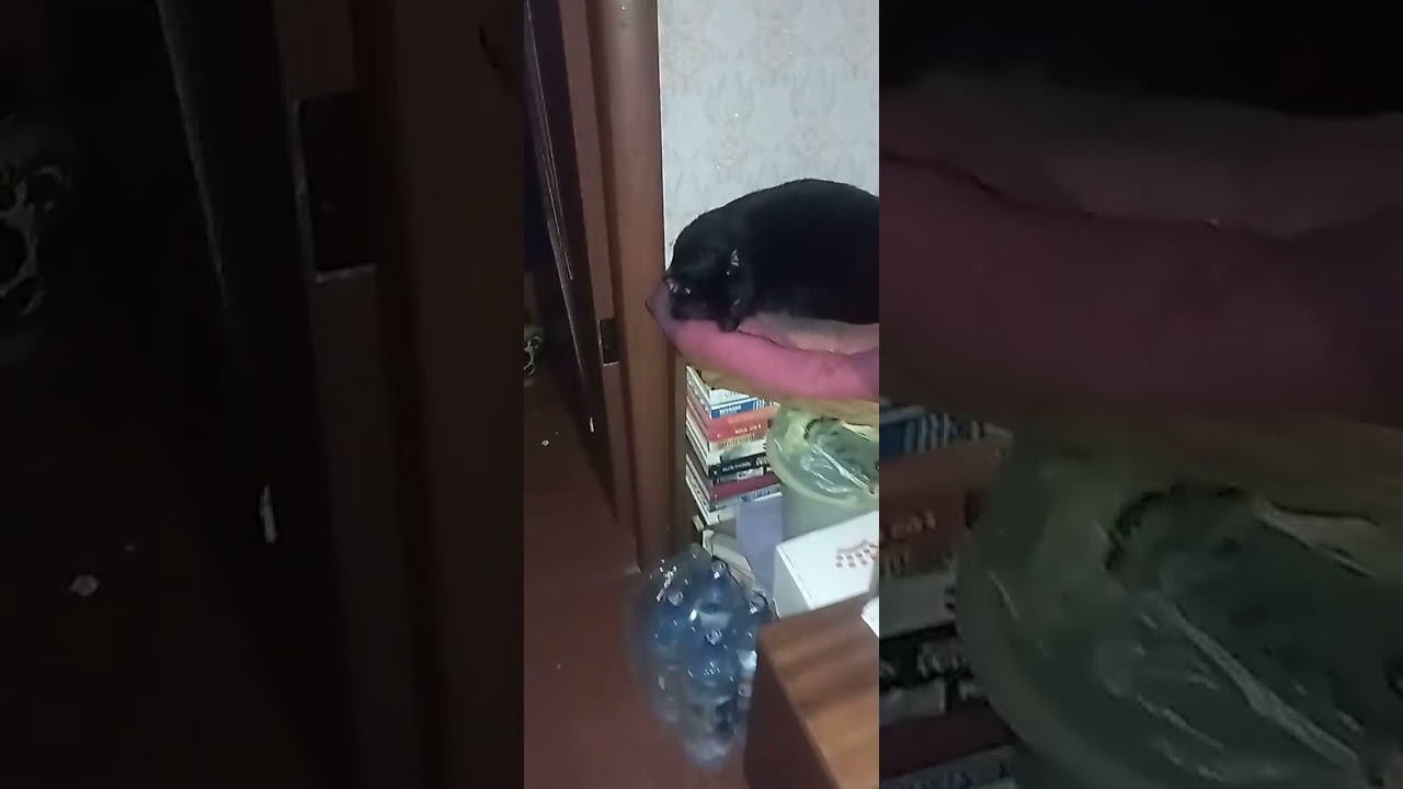 На сегодня всем СПАСИБО 🤗