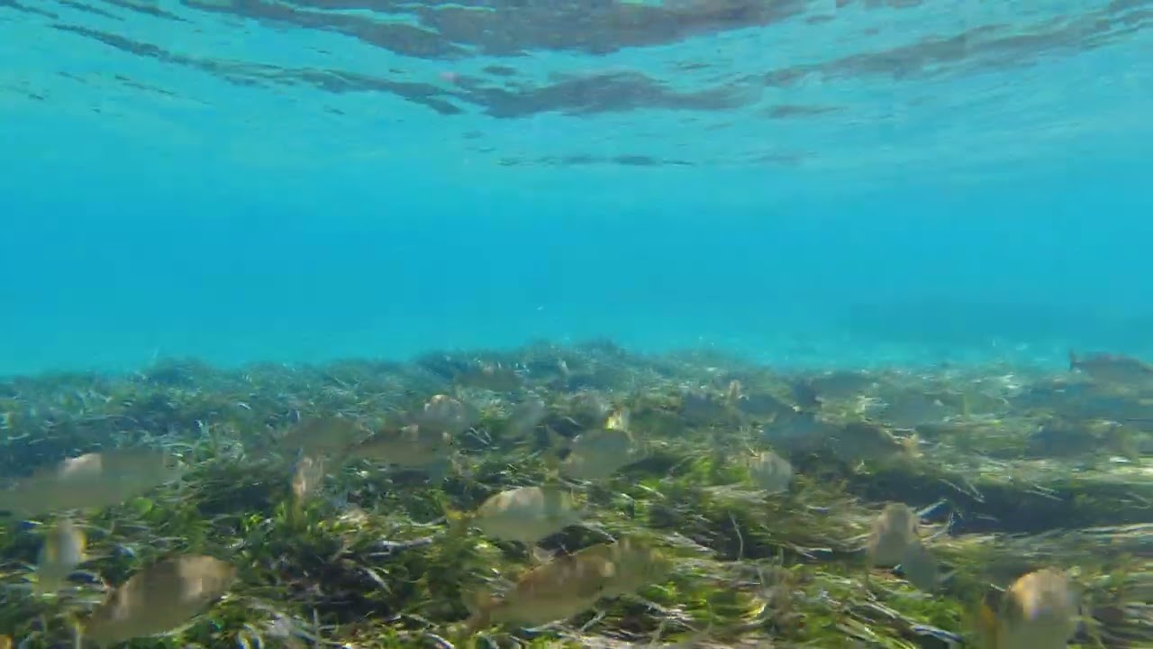 Diving at Karpathos