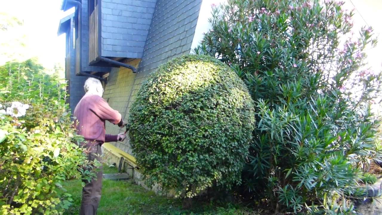 Le bénévole Pierre Bucquet taille un arbuste à la Cité Saint Pierre