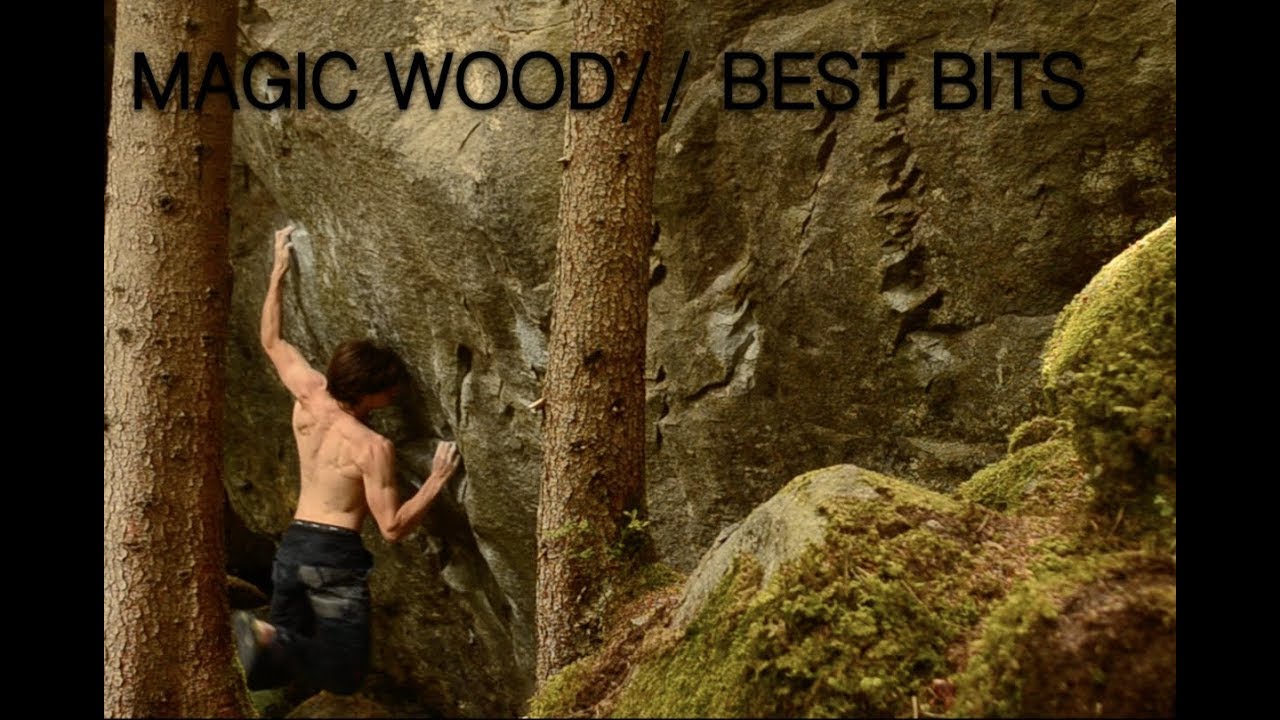 Magic Wood 18//Best Bits: Steppenwolf and more