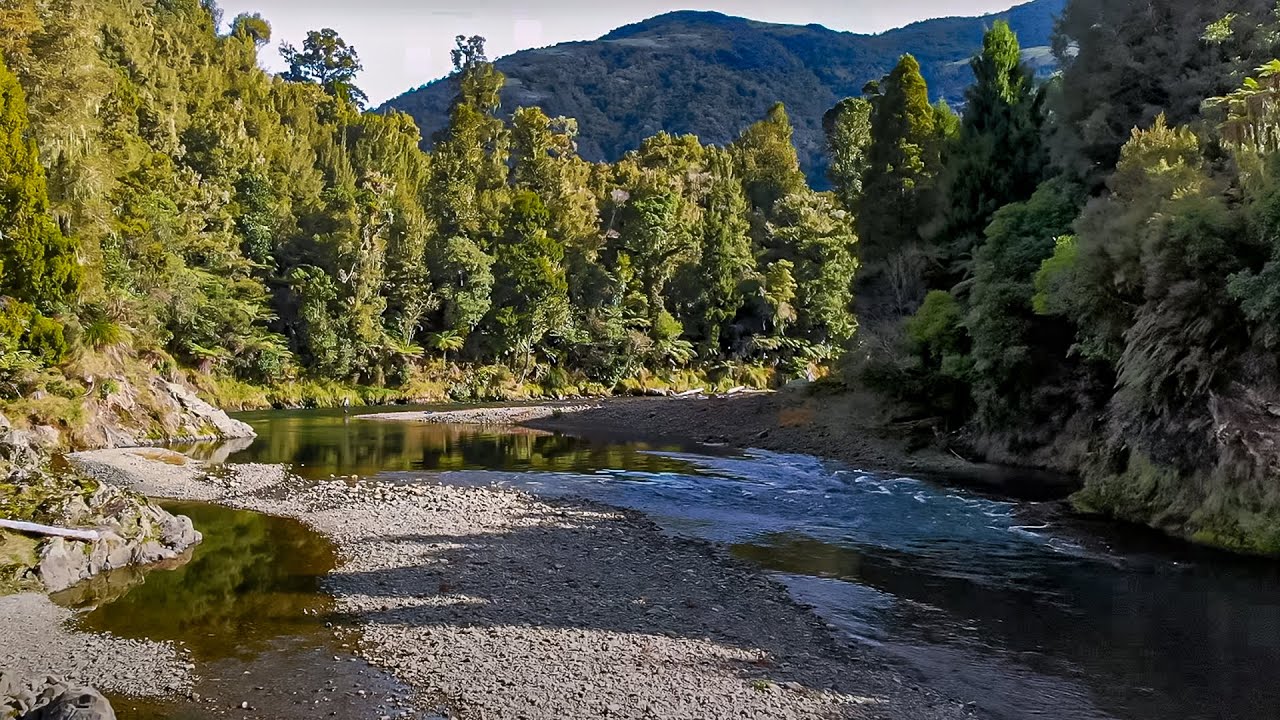 Backcountry Fly Fishing in Stunning New Zealand