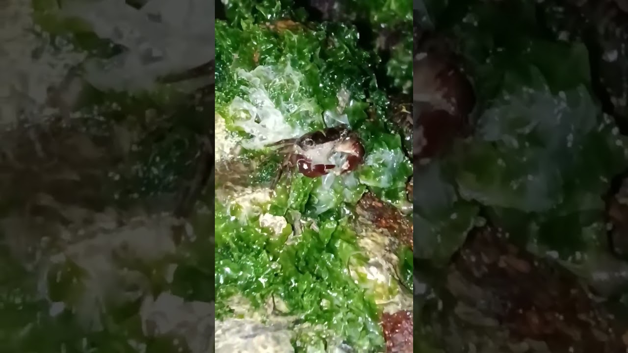 12 de janeiro de 2026