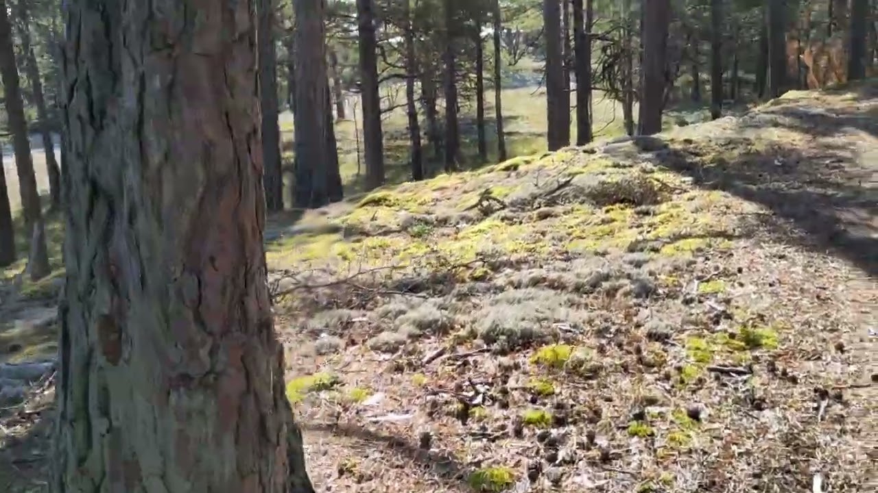 B&ouml;dakusten &ouml;stra