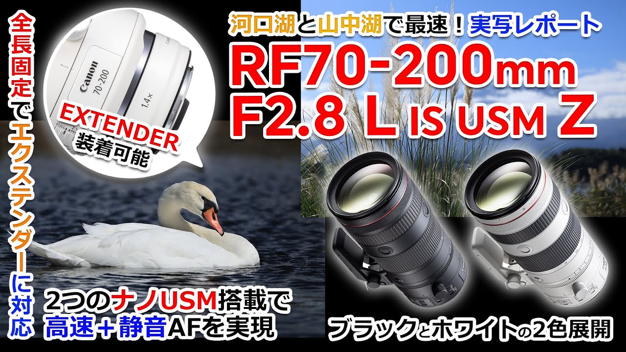 【RF70-200mm F2.8 L IS USM Z 実写速報】大三元の望遠に新たな選択肢！「キヤノン RF70-200mm F2.8 L IS USM Z」を最速実写レビュー