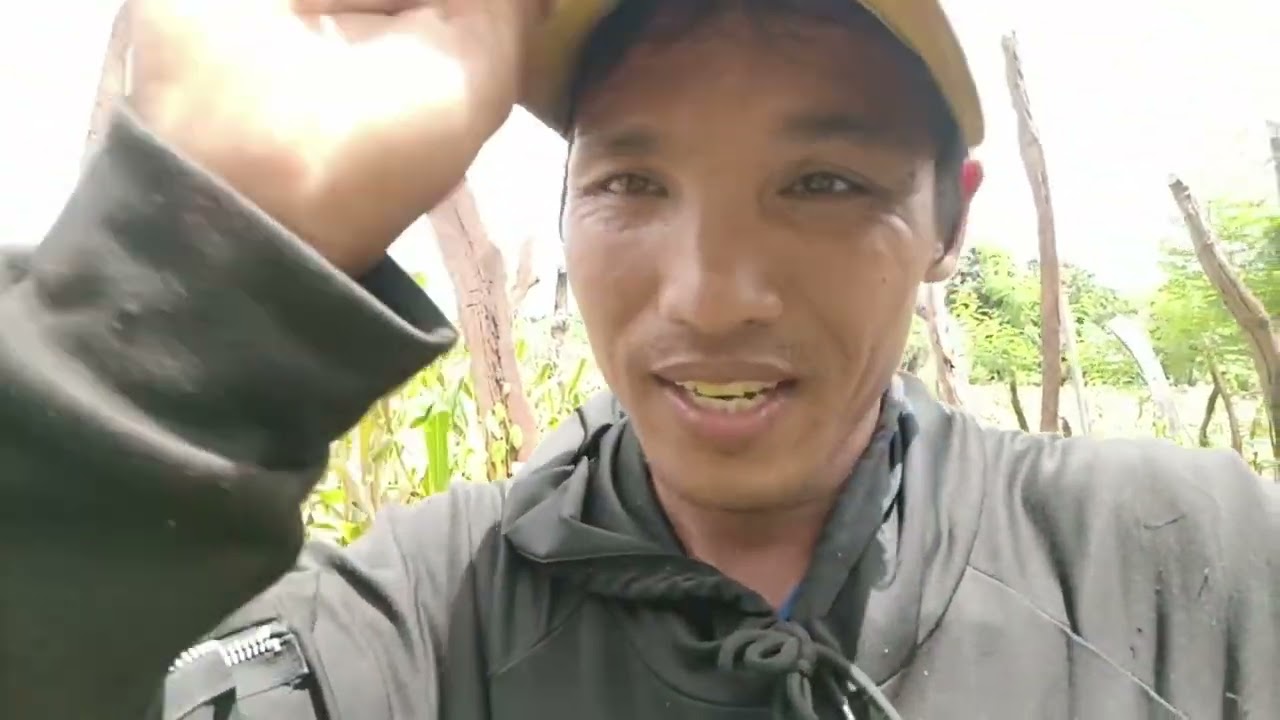 100 ngày chờ đợi cũng tới mùa 