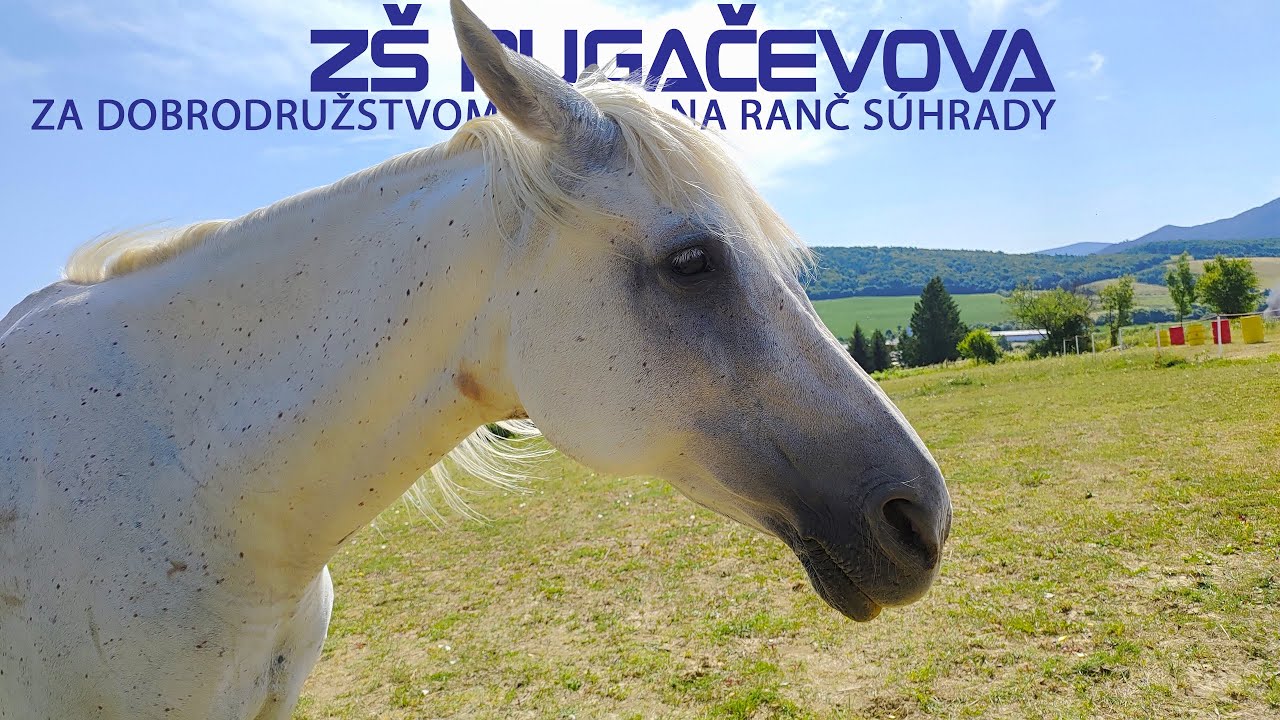 Letný tábor 2025 - Základná škola, Pugačevova 1381/7, Humenné