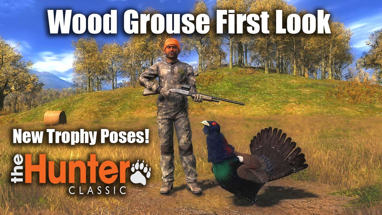 WOOD GROUSE FIRST LOOK - theHunter Classic
