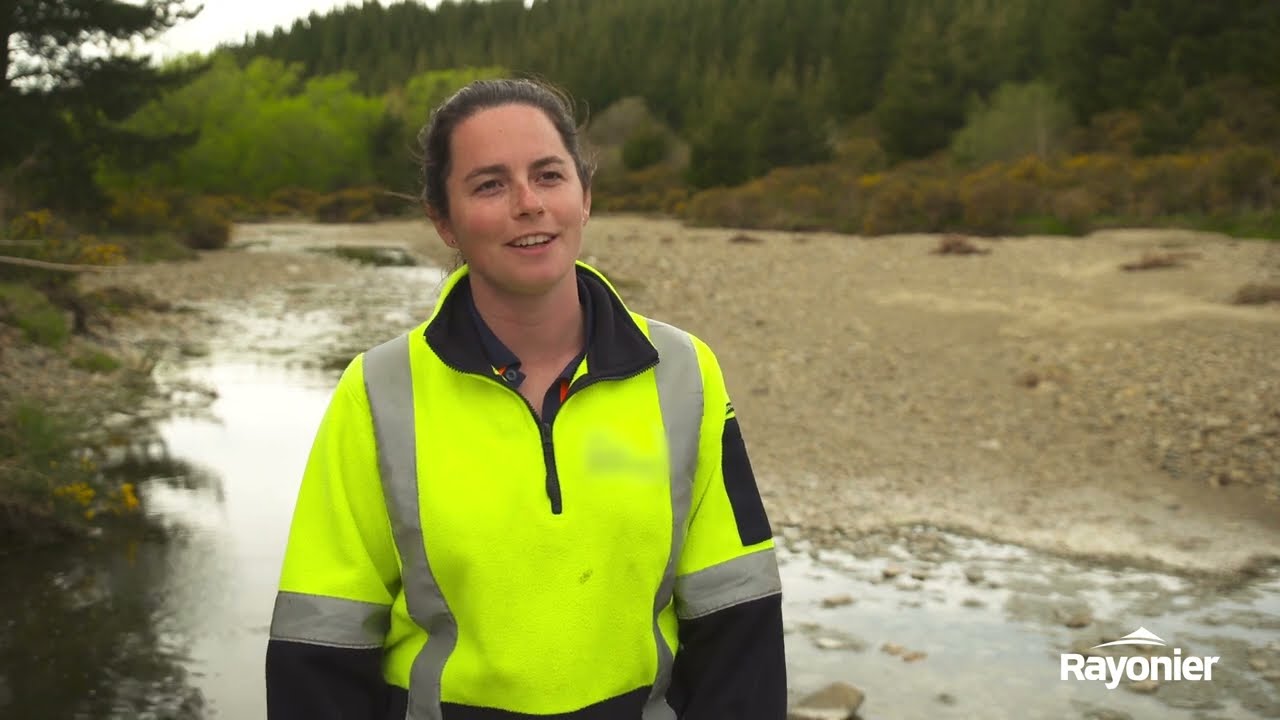 Sustainable Forestry: Being Guardians of the Land in New Zealand