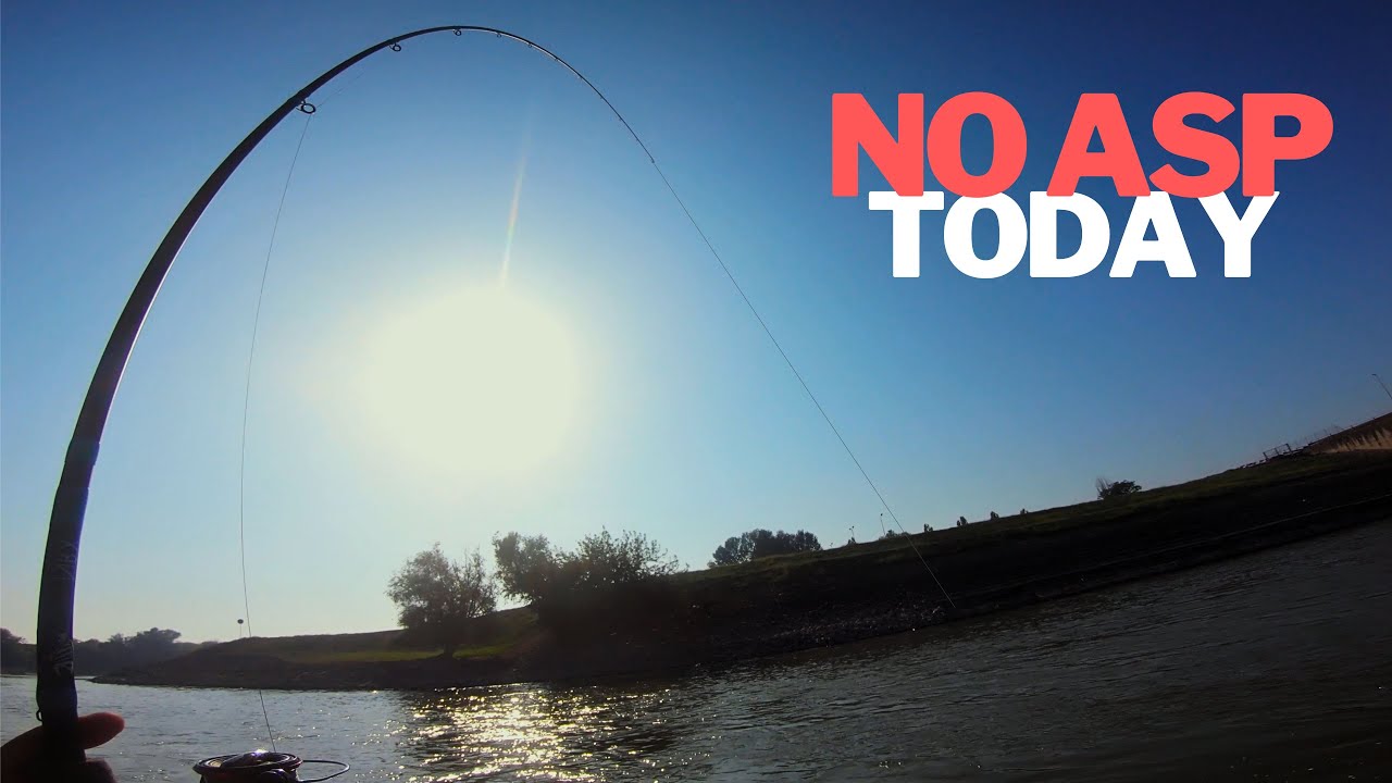 The Day Without Asp - Spinning the Po River