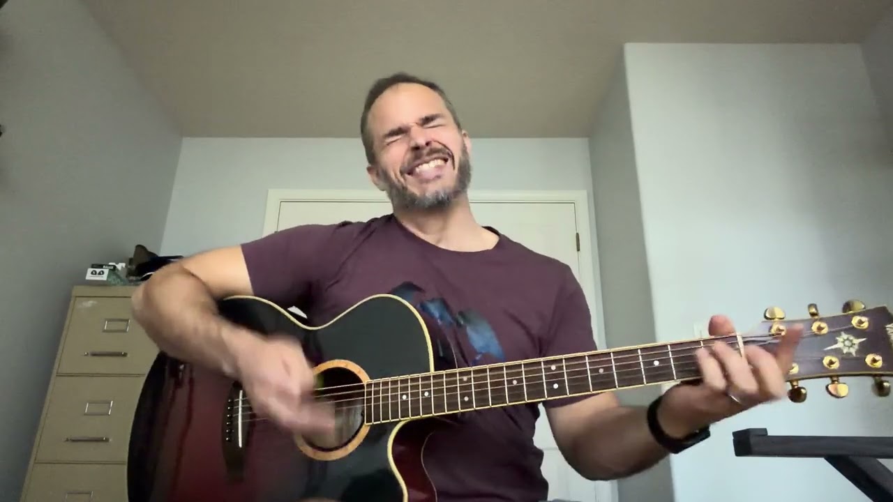 Animal (Def Leppard ~ Acoustic Cover) - Dominic Valenti 