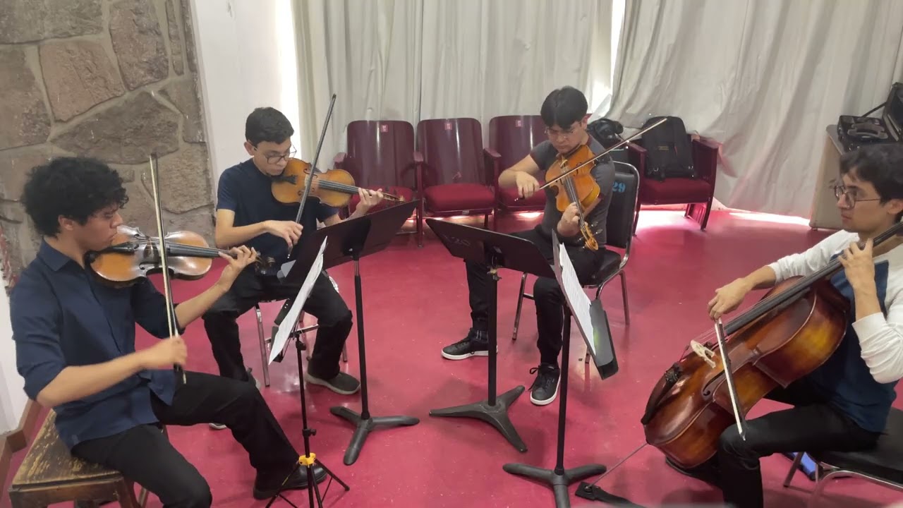 Cuarteto de cuerdas No. 1, D. 18,  4to movimiento (Presto) - Franz Schubert.