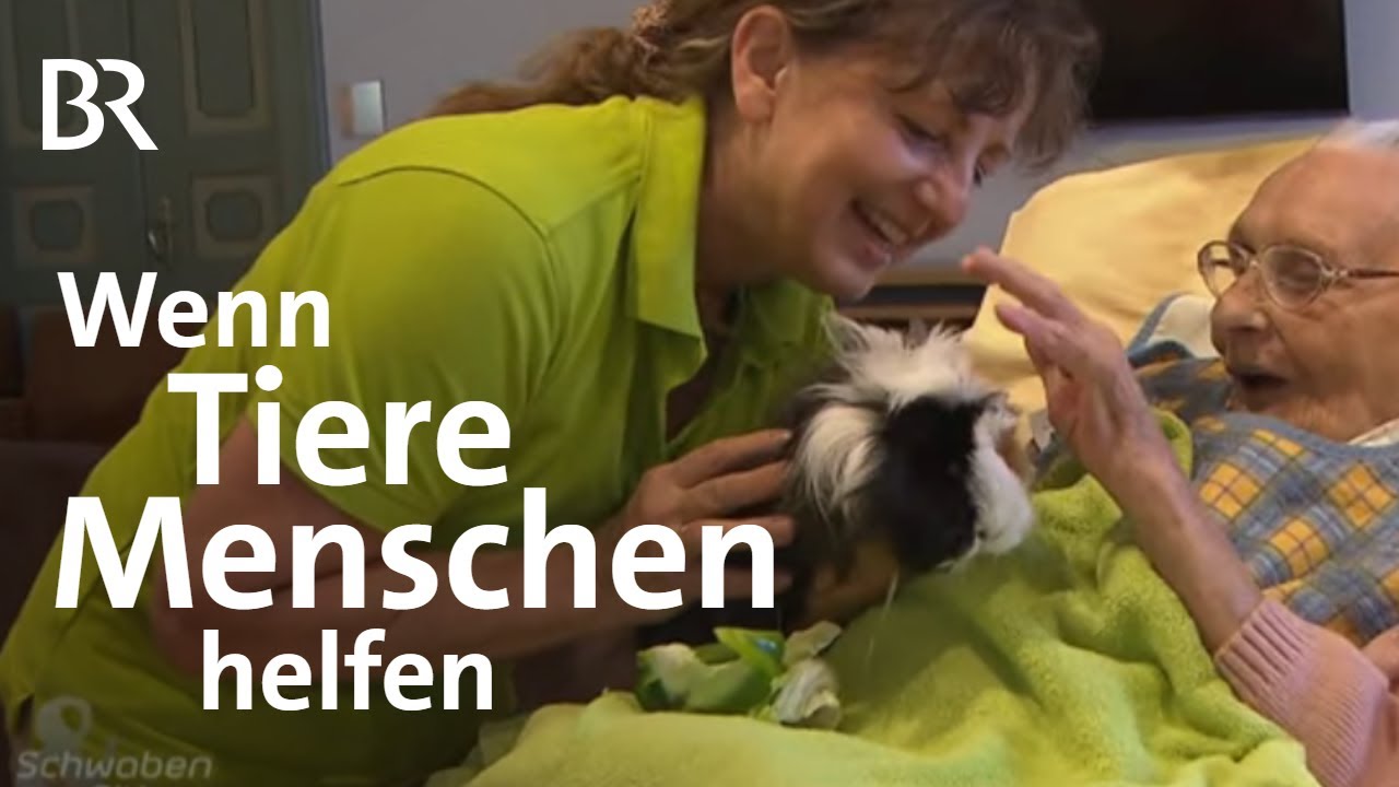 Alpaka im Aufzug: Unterwegs mit einer Tier-Pädagogin | Schwaben & Altbayern | BR