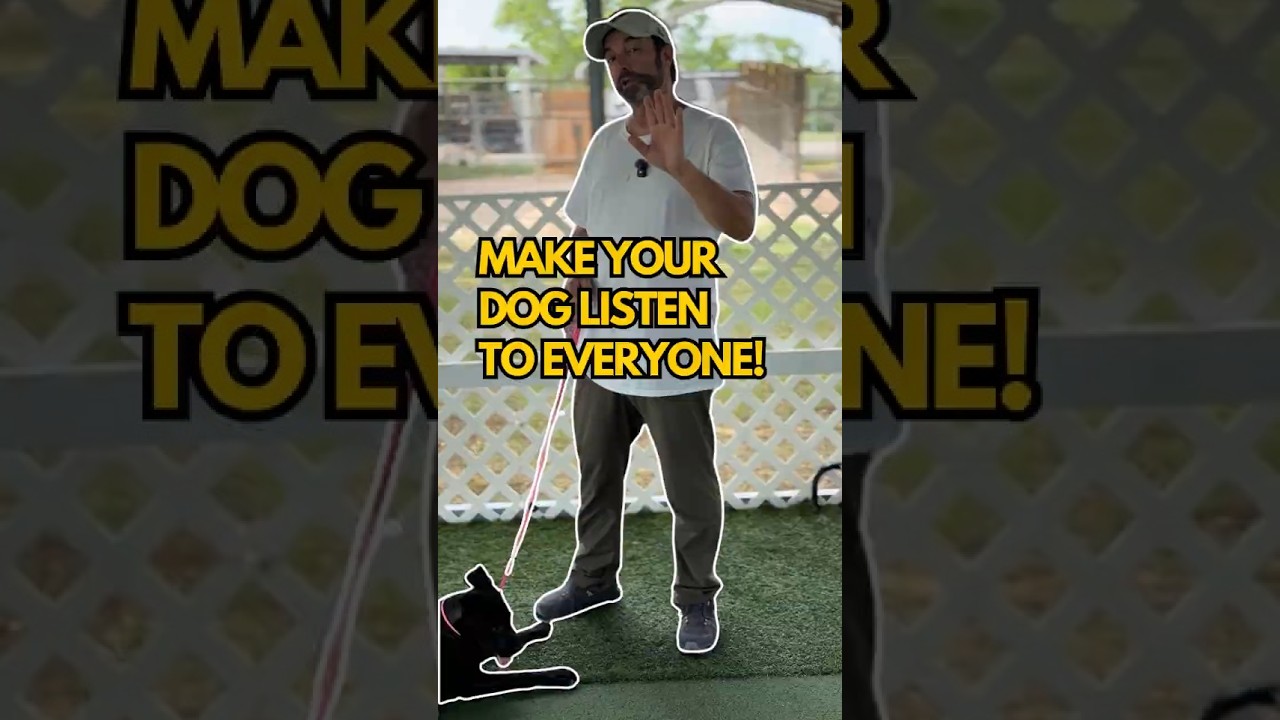 Dog Behavior Psychology: How to Get Your Dog to Listen to Everyone in the House