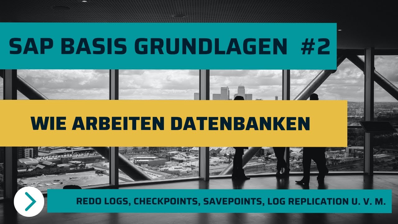 SAP Basis Grundlagen | Datenbanken - Redo Logs, Archive Logs, SCN, Datendateien, Backups