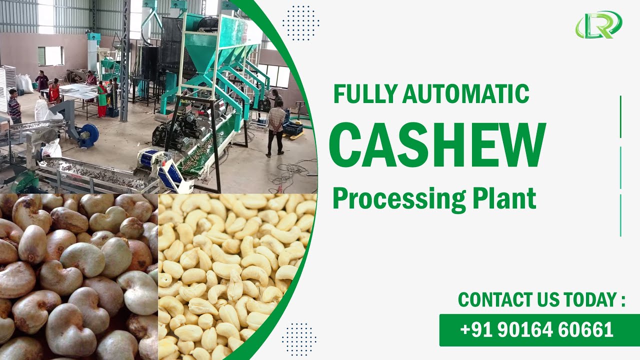 Modern Technology Cashew Processing Plant🏭Fully Automatic Turnkey Cashew Processing Plant #Cashew
