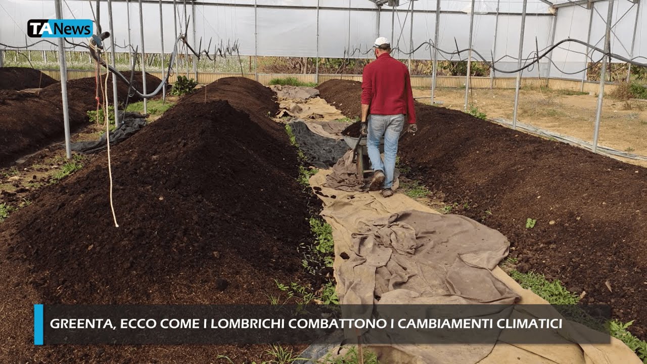 Greenta, ecco come i lombrichi combattono i cambiamenti climatici