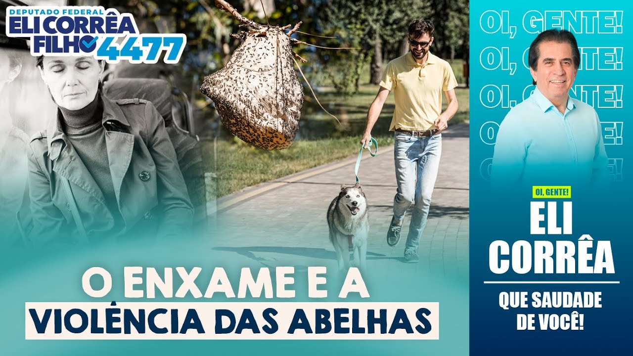 O enxame e a violência das abelhas | Eli Corrêa Oficial |
