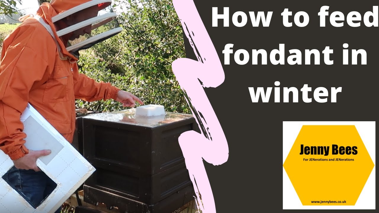 How To feed fondant to honey bees during winter