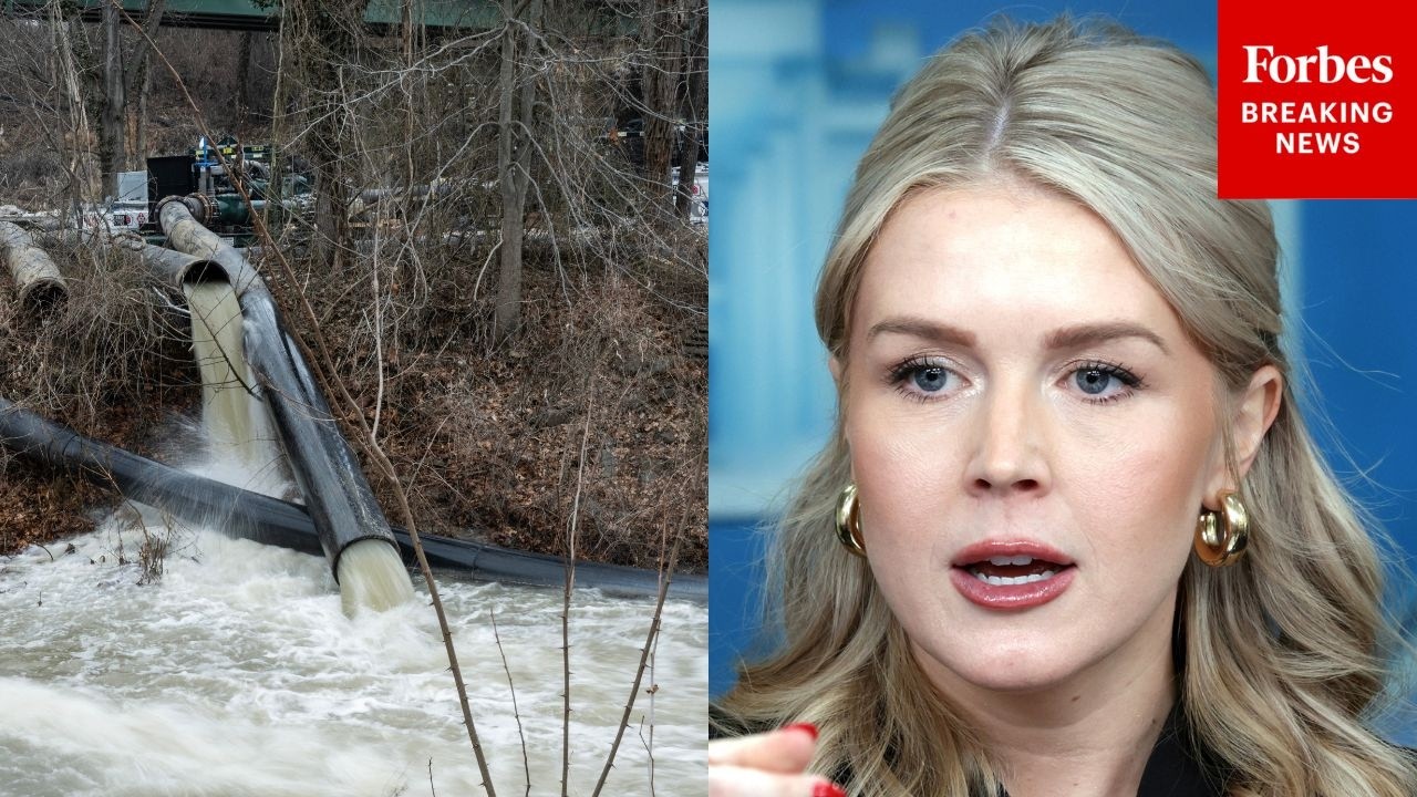 Reporter Asks Leavitt: Is Trump Worried That The Potomac 'Will Still Smell Like Poop' By Summer?