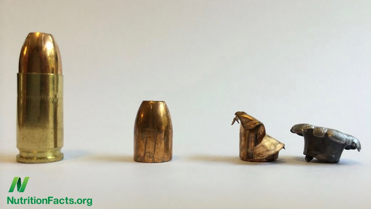 Lead Contamination in Fish and Game