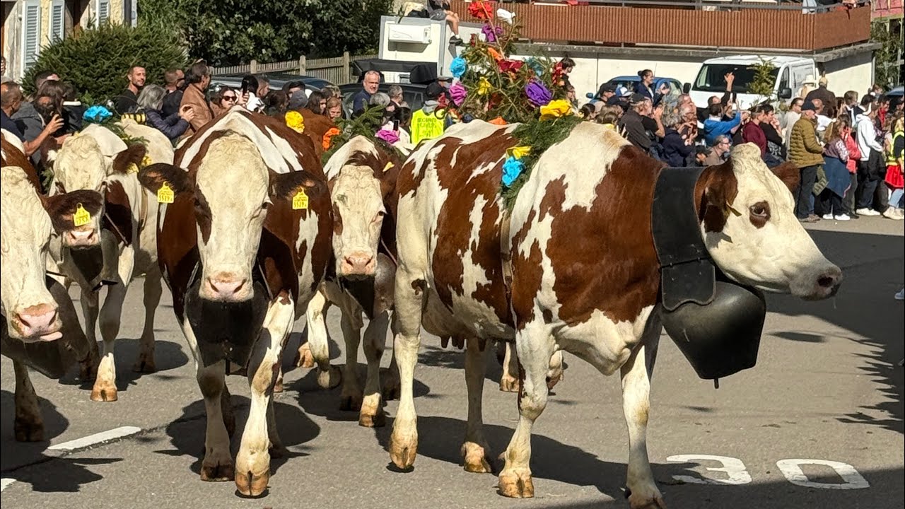 Fete de la Desalpe 2025