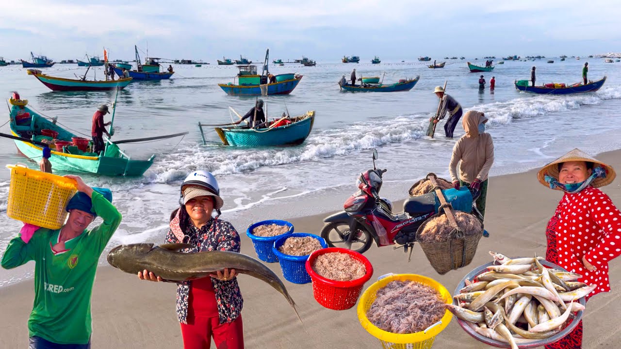 Cào Ruốc Trúng Luôn Cá Bớp Tiền Triệu | Mùa Cá Đục Câu Làng Duồng