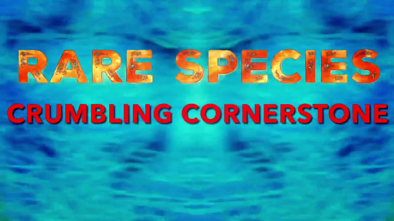 Rare Species - Crumbling Cornerstone