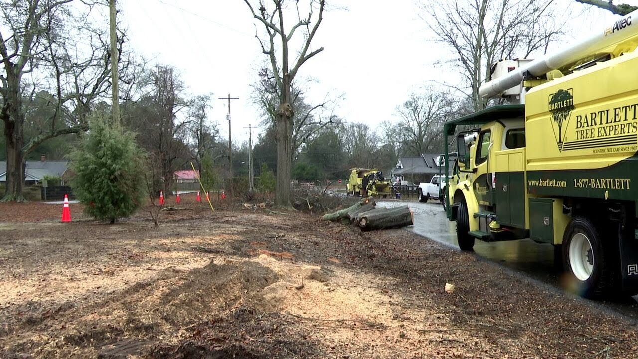 Streetscapes Fund donation will help remove, replace infected trees in Aiken