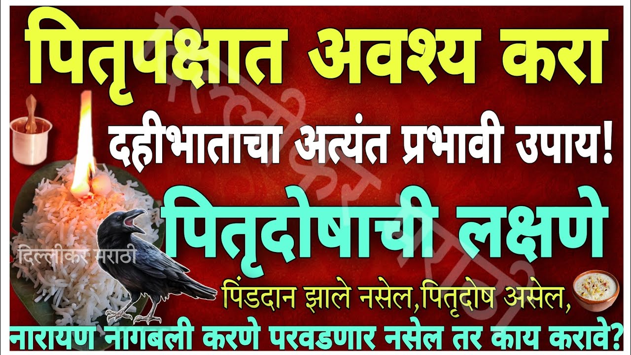 पितृपक्षात पितरांच्या तिथीला इथे ठेवा दहीभात;पितृदोष का लागतो?वेळ/ पैसा वाचेल असे उपाय पितृशांतीसाठी