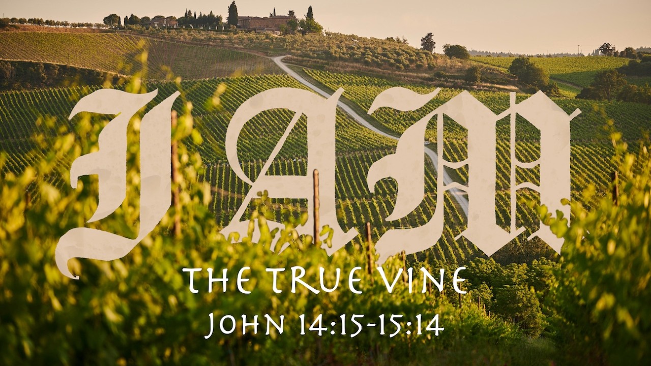 I AM   The True Vine 022226 WBC