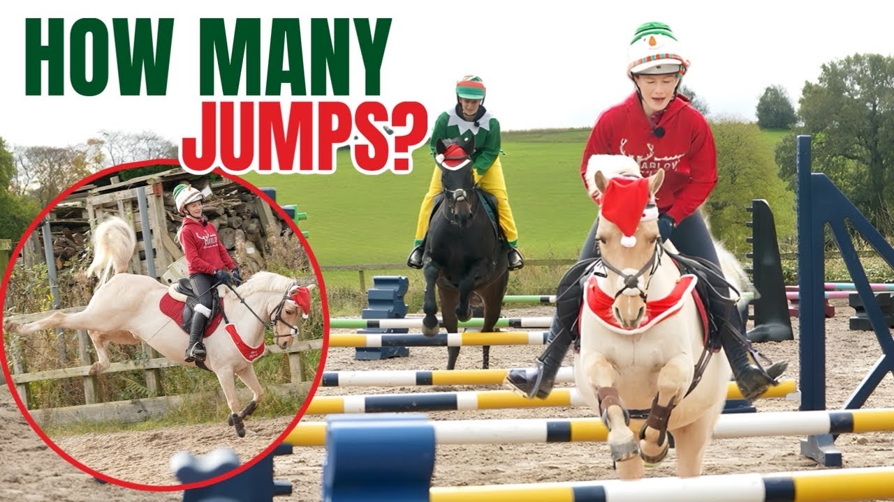 Bounce Challenge With Harlow: How Many Jumps?