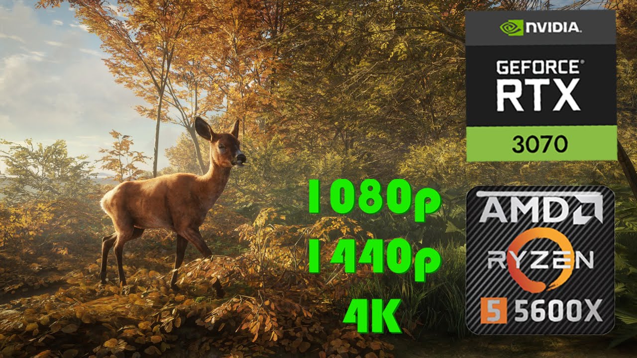 the Hunter Call of the Wild  RTX 3070 RYZEN 5 5600X 1080 1440 4k ULTRA  SETTINGS / AMD ON OFF