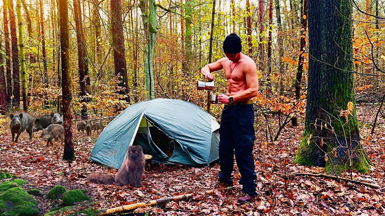 Unforgettable Camping in the Wild Forest with my Cat
