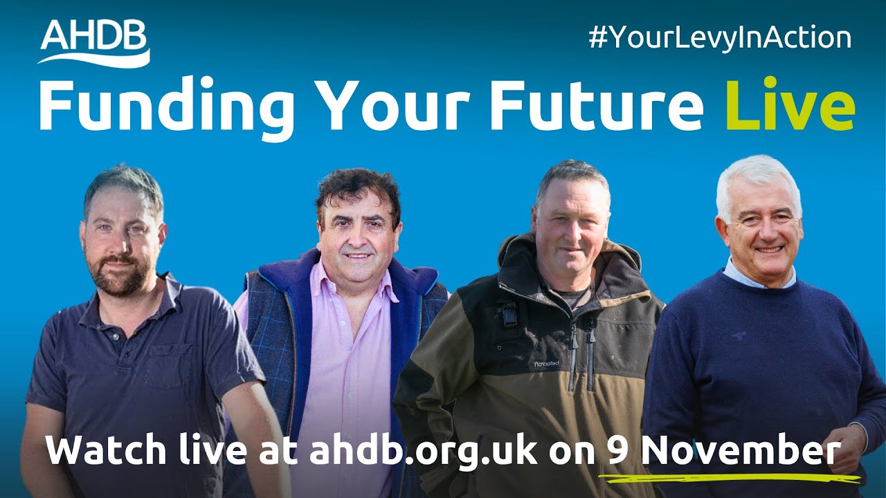 Pork: Funding Your Future