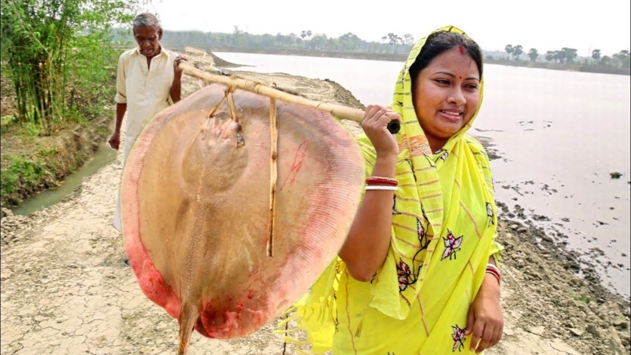 এত্তবড় শাপলা পাতা মাছ এই প্রথম কাটলাম আর রান্না করলাম || 5.5 kg stingray fish cutting