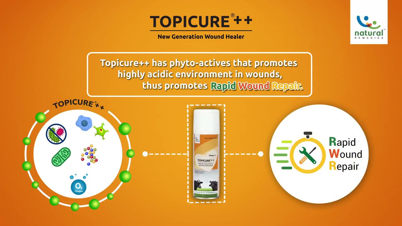Rapid Wound Repair