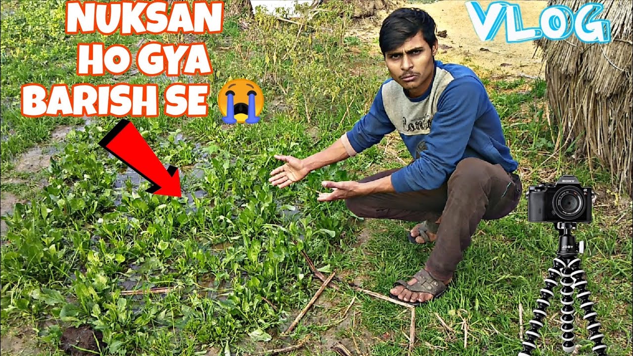 NUKSAN HO GYA FASAL KA 😭!! VLOG 😍!!!! @souravjvlogs