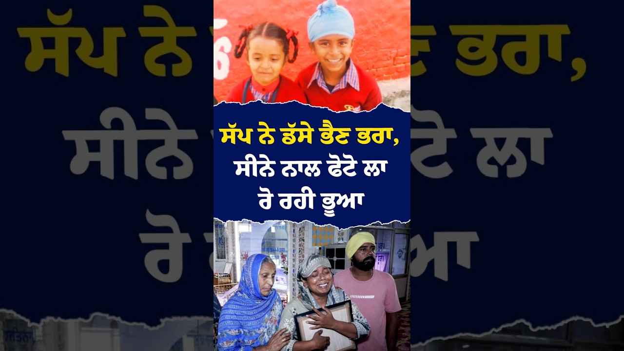 ਸੱਪ ਨੇ ਡੱਸੇ ਭੈਣ ਭਰਾ,ਸੀਨੇ ਨਾਲ ਫੋਟੋ ਲਾ ਰੋ ਰਹੀ ਭੂਆ