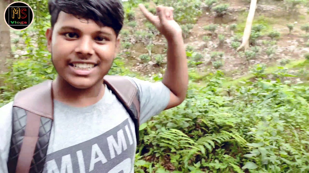 Way to Durbeentila | Near Pearacherra | MS Vlogs | North Tripura