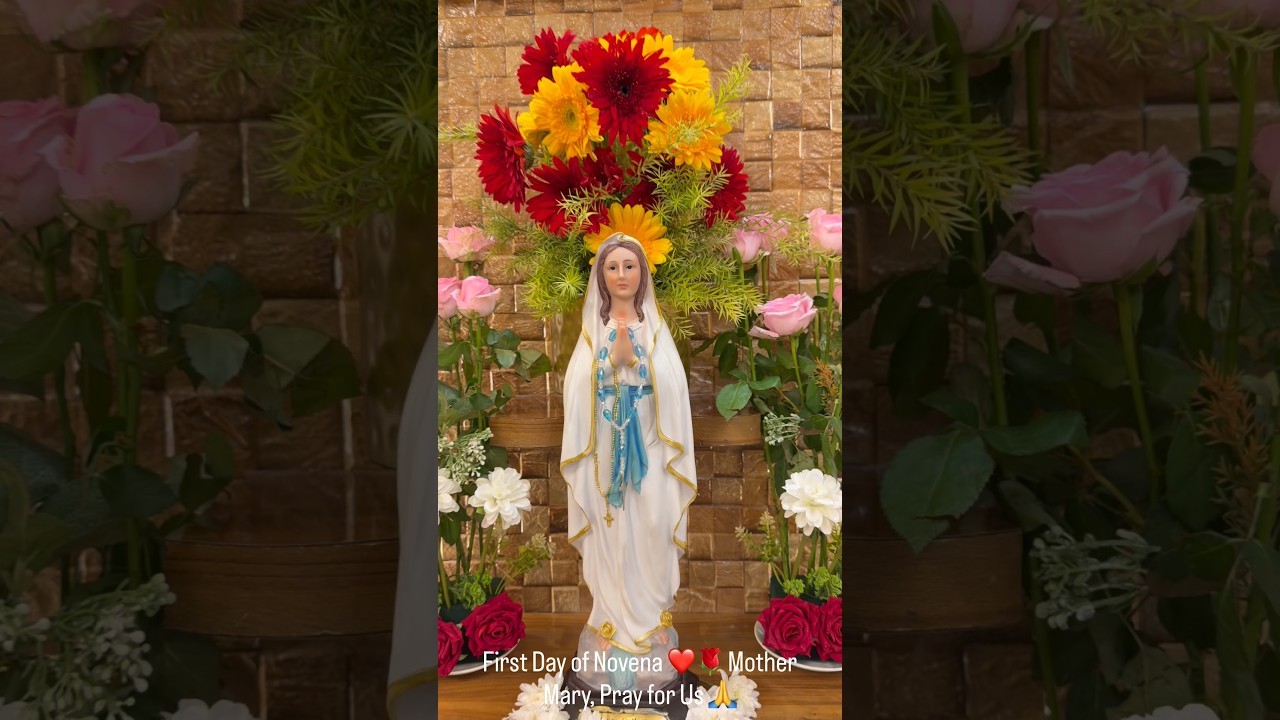 Mother Mary, Pray for Us 🙏❤️ | Day 1 Novena #snjlobo
