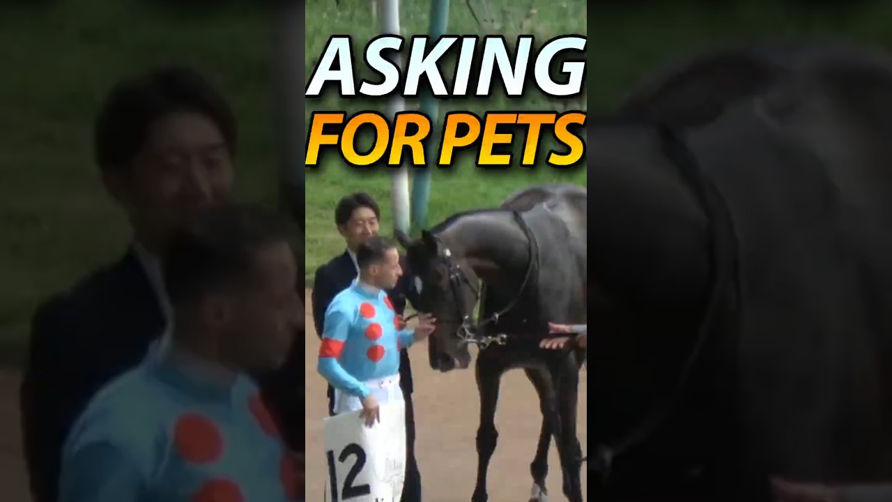Exceed Won Her Debut Race and Asked for Pets 🐴❤️