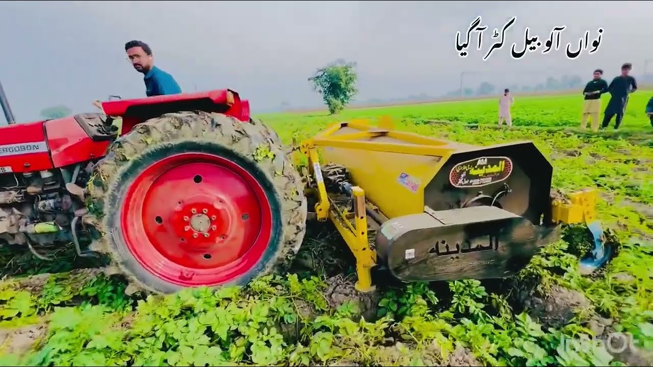 Potato Bail kuter performance with Mf 375 Tractor 