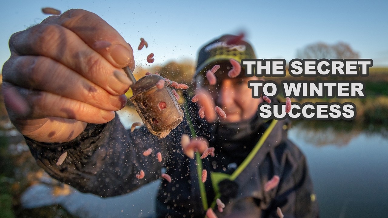 The secret to winter feeder fishing - Ultimate Maggot Feeder Fishing