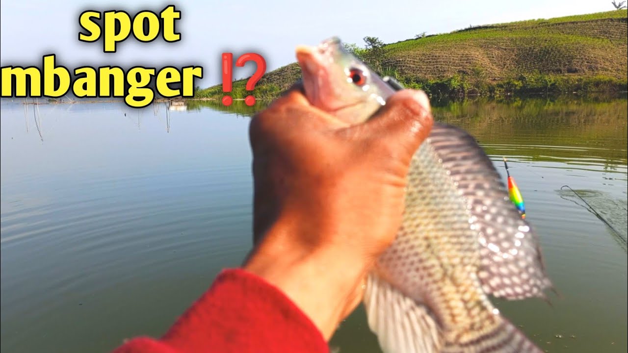 WKO terbaru ⁉️spot mbanger ikan haup#mancing #ikan #fhising 