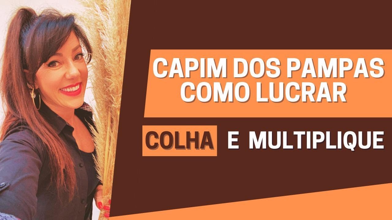 Como LUCRAR com CAPIM DOS PAMPAS - Colha e Multiplique