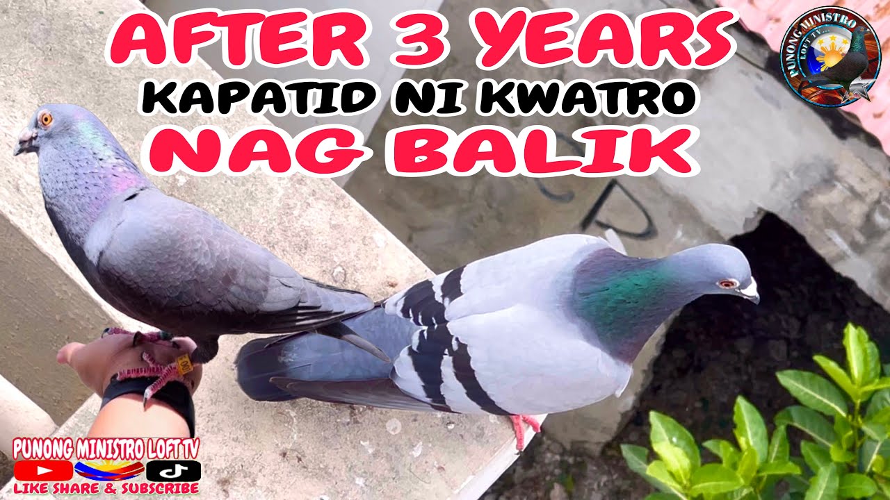 EP918 - MAY BIGLANG NAG BALIK KAPATID PALA NI KWATRO!