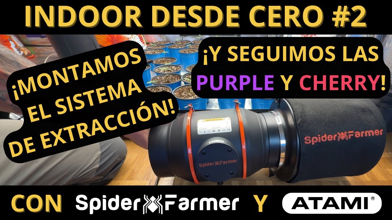 INDOOR DESDE CERO (2): SISTEMA DE EXTRACCIÓN - EXTRACTOR SPIDER FARMER 6