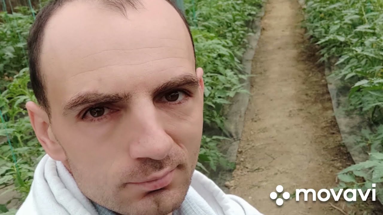 Solar în pământ (sistem climat)